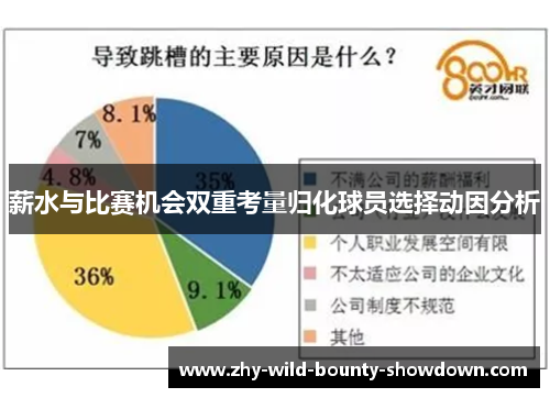 薪水与比赛机会双重考量归化球员选择动因分析