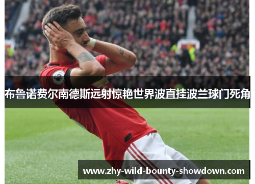 布鲁诺费尔南德斯远射惊艳世界波直挂波兰球门死角