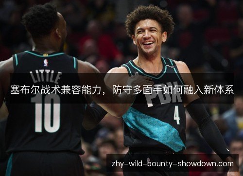 塞布尔战术兼容能力，防守多面手如何融入新体系